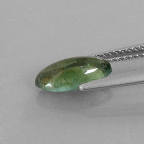 1,25 ctw natürlicher grüner Turmalin, Transparent, Transparent / Lichtdurchlässig
