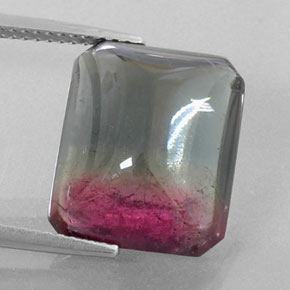 12,38 ctw natürlicher zweifarbiger Turmalin, Transparent, Transparent / Lichtdurchlässig