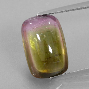 6,64 ctw natürlicher zweifarbiger Turmalin, Transparent, Transparent / Lichtdurchlässig