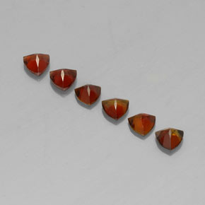 1,48 ct natürliche mehrfarbiger Turmalin-Edelsteine, Trillion, VVS-VS