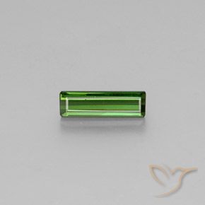 1.46ct Natürlicher Mittelgrün Turmalin, Smaragdschliff, VVS-VS
