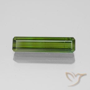 1.45ct Natürlicher Waldgrün Turmalin, Smaragdschliff, SI
