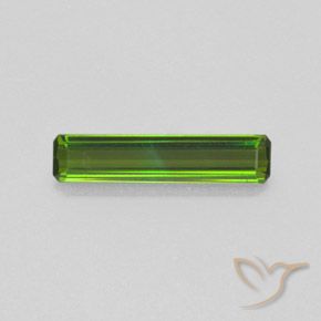 1.22ct Natürlicher Mittelgrün Turmalin, Smaragdschliff, VS