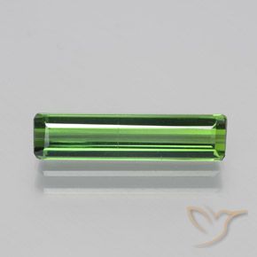 1.58ct Natürlicher Waldgrün Turmalin, Smaragdschliff, VS