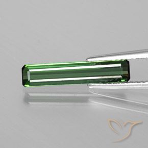 1.50ct Natürlicher Cooles Waldgrün Turmalin, Smaragdschliff, VS