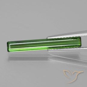 1.53ct Natürlicher Waldgrün Turmalin, Smaragdschliff, VS