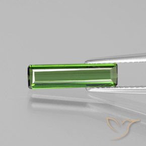 1.43ct Natürlicher Mittelgrün Turmalin, Smaragdschliff, VS