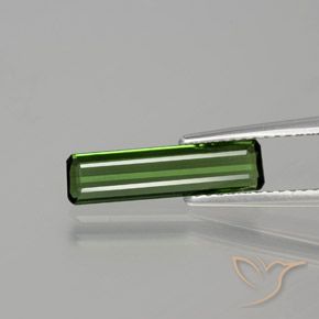 1.15ct Natürlicher Waldgrün Turmalin, Smaragdschliff, VS
