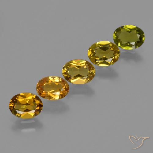 2.56 ct natürliche Erde Grün Turmalin-Edelsteine, Oval, VS