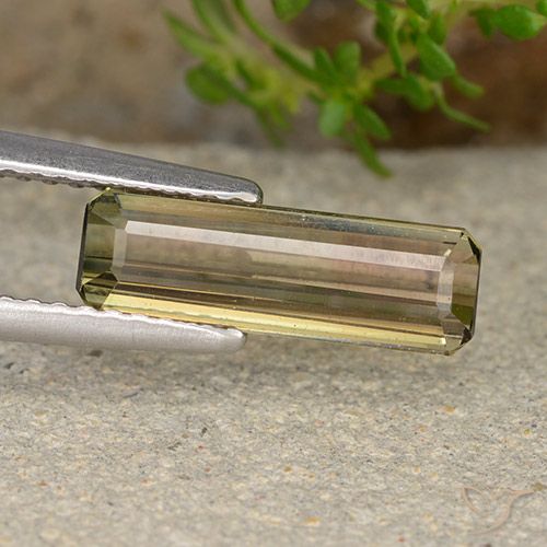 9,17 ctw natürlicher Zweifarbig Turmalin, Smaragdschliff, VS