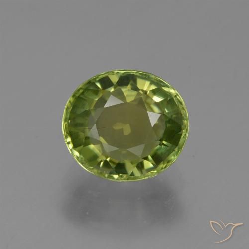 1.23ct Natürlicher Waldgrün Turmalin, Oval, VS