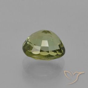9,17 ctw natürlicher Waldgrün Turmalin, Oval, VVS