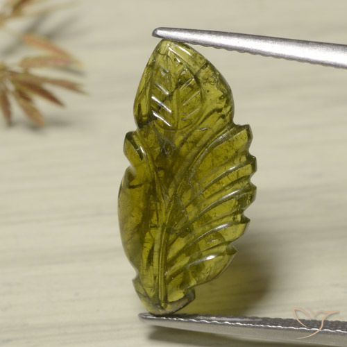 4.75ct Natürlicher Warmes Grün Turmalin, Fantasie, Lichtdurchlässig
