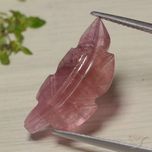 7.02ct Natürlicher Zweifarbig Turmalin, Fantasie, Lichtdurchlässig