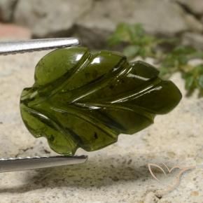 9,17 ctw natürlicher Erde Grün Turmalin, Blumen-Schliff, Lichtdurchlässig
