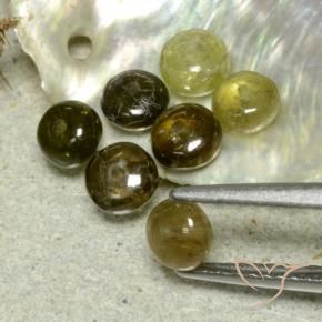 3.11 ct natürliche Mehrfarbig Turmalin-Edelsteine, Fantasie, Lichtdurchlässig