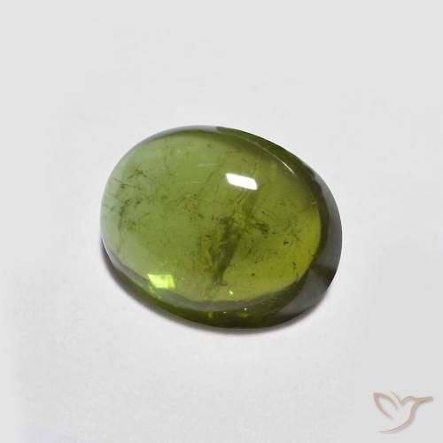 9,17 ctw natürlicher Algengrün Turmalin, Oval, Transparent