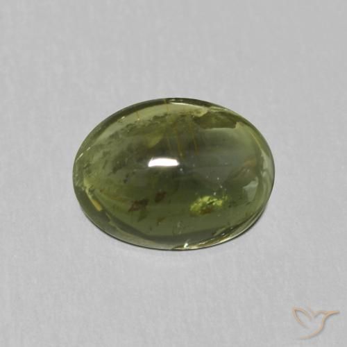 1.13ct Natürlicher Waldgrün Turmalin, Oval, Transparent