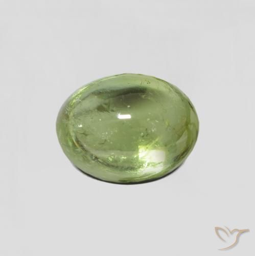 2.24ct Natürlicher Waldgrün Turmalin, Oval, Transparent