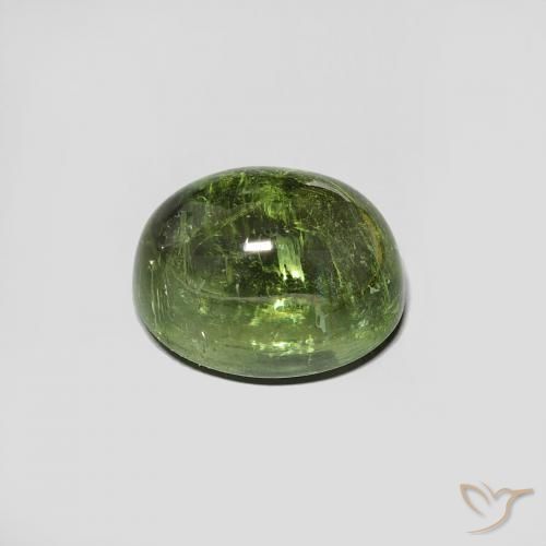 9,17 ctw natürlicher Waldgrün Turmalin, Oval, Transparent