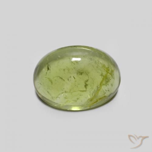 1.44ct Natürlicher Olivgrün Turmalin, Oval, Transparent