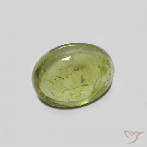 9,17 ctw natürlicher Olivgrün Turmalin, Oval, Transparent