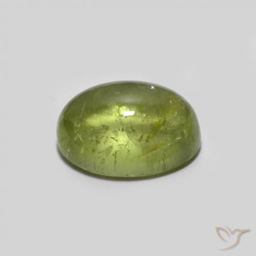 9,17 ctw natürlicher Olivgrün Turmalin, Oval, Transparent