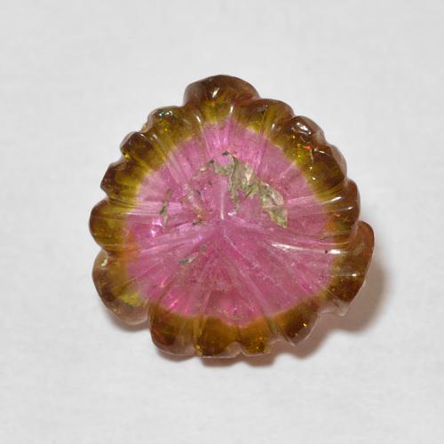 5.37ct Natürlicher Wassermelone Turmalin, Blumen-Schliff, Transparent