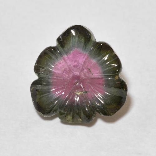 5.23ct Natürlicher Wassermelone Turmalin, Blumen-Schliff, Transparent
