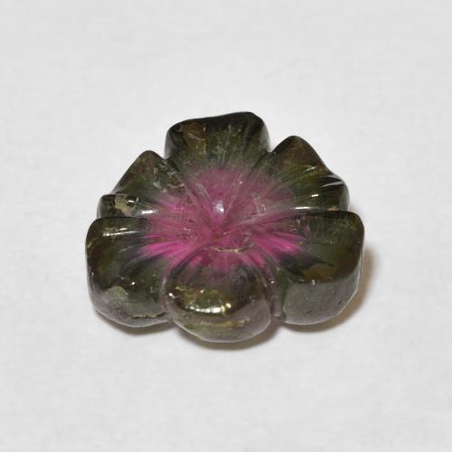 9,17 ctw natürlicher Wassermelone Turmalin, Blumen-Schliff, Transparent