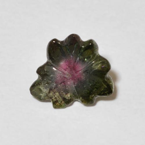 1.00ct Natürlicher Wassermelone Turmalin, Blumen-Schliff, Transparent