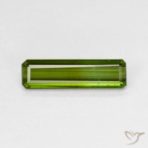 1.52ct Natürlicher Erdiges Grün Turmalin, Oktagonschliff, VS, Photo A