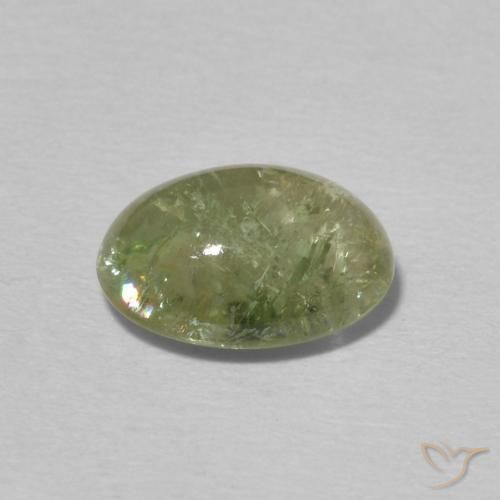 9,17 ctw natürlicher Warmes Grün Turmalin, Oval, Transparent