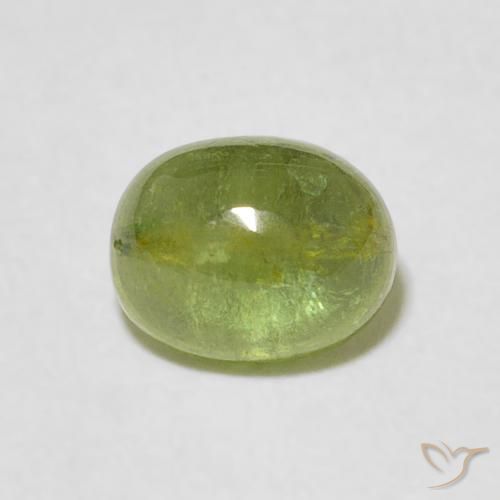 1.33ct Natürlicher Mittelgrün Turmalin, Oval, Transparent, Photo A
