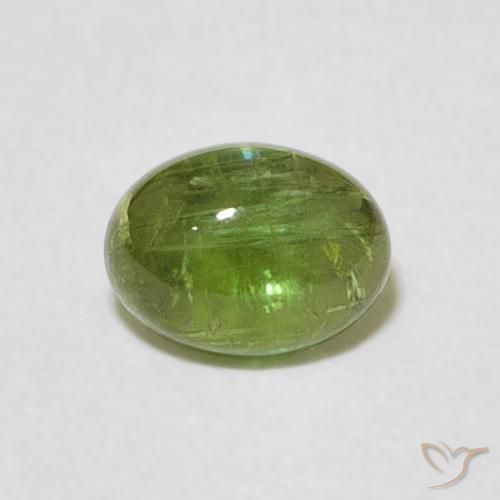 0.82ct Natürlicher Mittelgrün Turmalin, Oval, Transparent