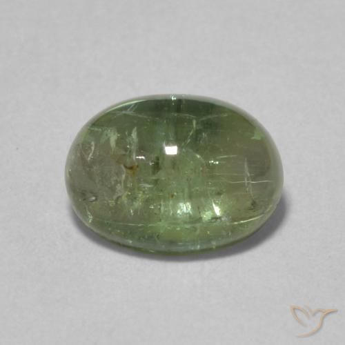 1.52ct Natürlicher Mittelgrün Turmalin, Oval, Transparent