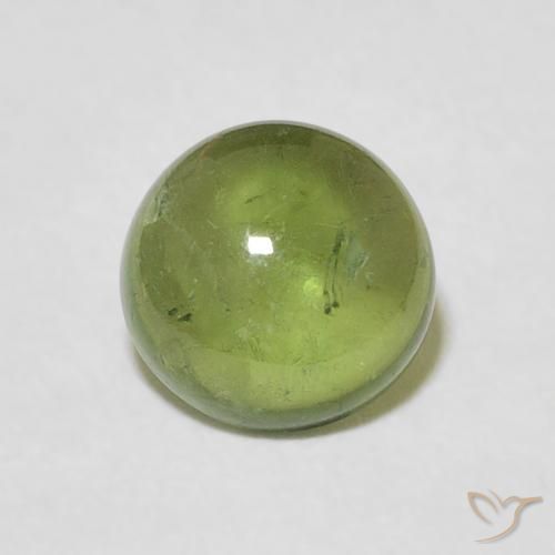 1.57ct Natürlicher Helles Waldgrün Turmalin, Runden, Transparent
