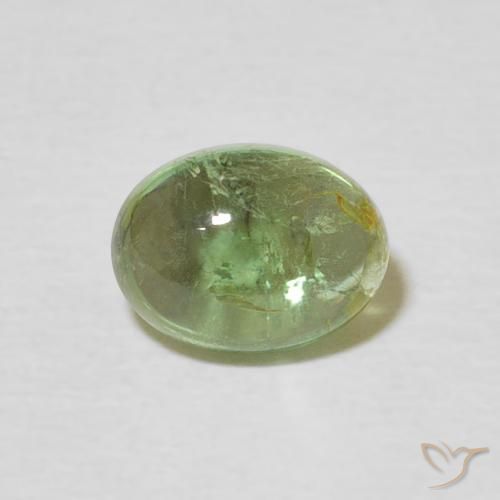 1.51ct Natürlicher Mittelgrün Turmalin, Oval, Transparent