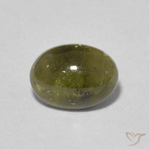 1.48ct Natürlicher dunkelgrün Turmalin, Oval, Transparent, Photo A