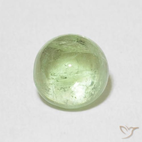 1.29ct Natürlicher Sehr helles Salbeigrün Turmalin, Runden, Transparent, Photo A