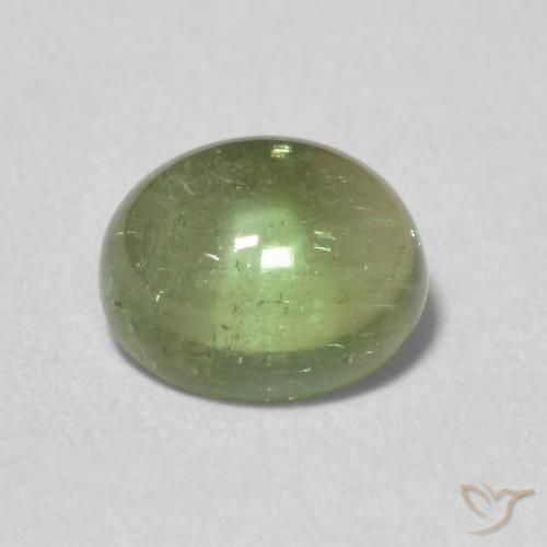 1.41ct Natürlicher Erde Grün Turmalin, Oval, Transparent