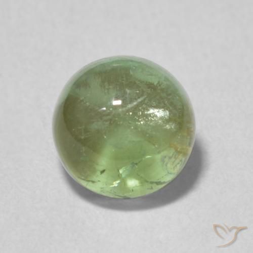 1.35ct Natürlicher Graugrün Turmalin, Runden, Transparent