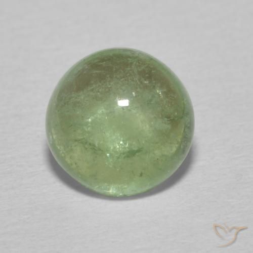 1.49ct Natürlicher Blasses Erdgrün Turmalin, Runden, Transparent
