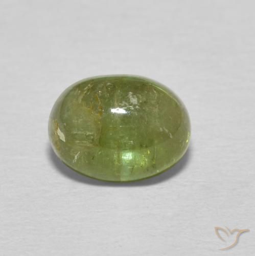 1.24ct Natürlicher Erde Grün Turmalin, Oval, Transparent