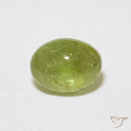 0.69ct Natürlicher Olivgrün Turmalin, Oval, Transparent