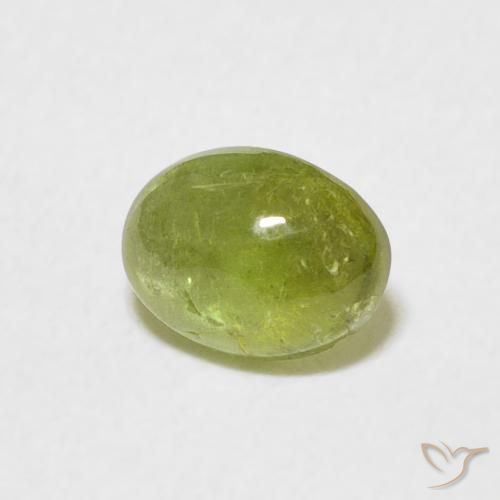 9,17 ctw natürlicher Olivgrün Turmalin, Oval, Transparent