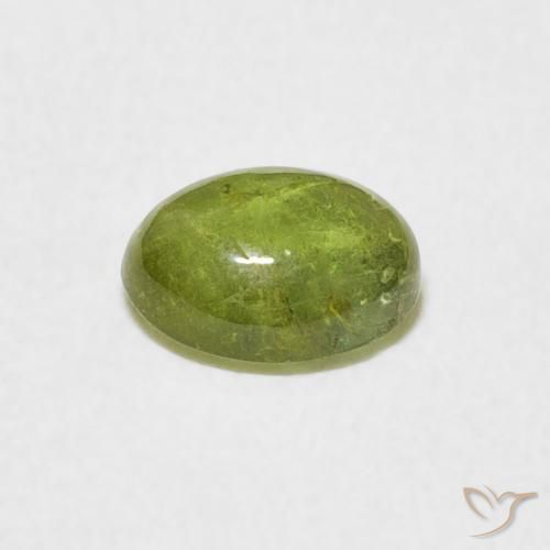 9,17 ctw natürlicher Olivgrün Turmalin, Oval, Transparent