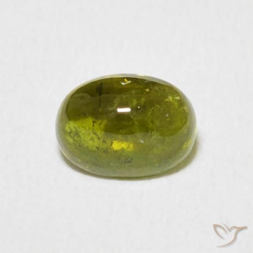 0.80ct Natürlicher Warmes Waldgrün Turmalin, Oval, Transparent