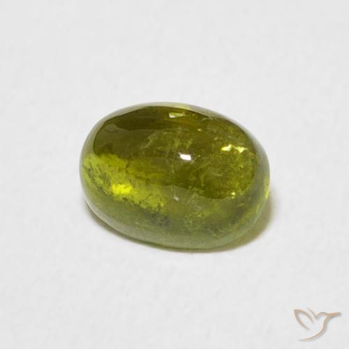 9,17 ctw natürlicher Warmes Waldgrün Turmalin, Oval, Transparent