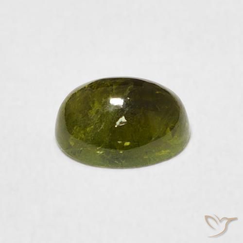 9,17 ctw natürlicher Warmes Waldgrün Turmalin, Oval, Transparent